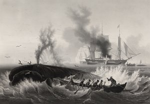 Pêche de la Baleine, 1834-35 (akvatint og gravering med etsing på papir)